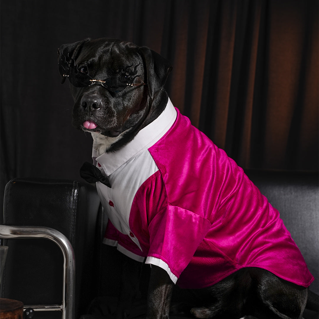 Tuxedo For Dogs With Black Bow Tie