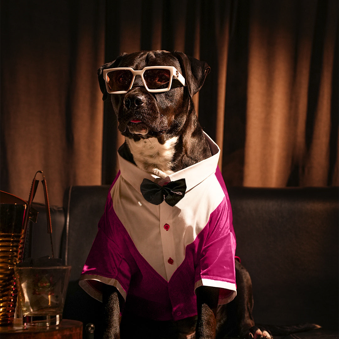 Tuxedo For Dogs With Black Bow Tie