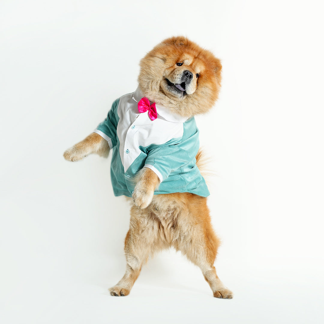 Tuxedo For Dogs With Pink Bow Tie