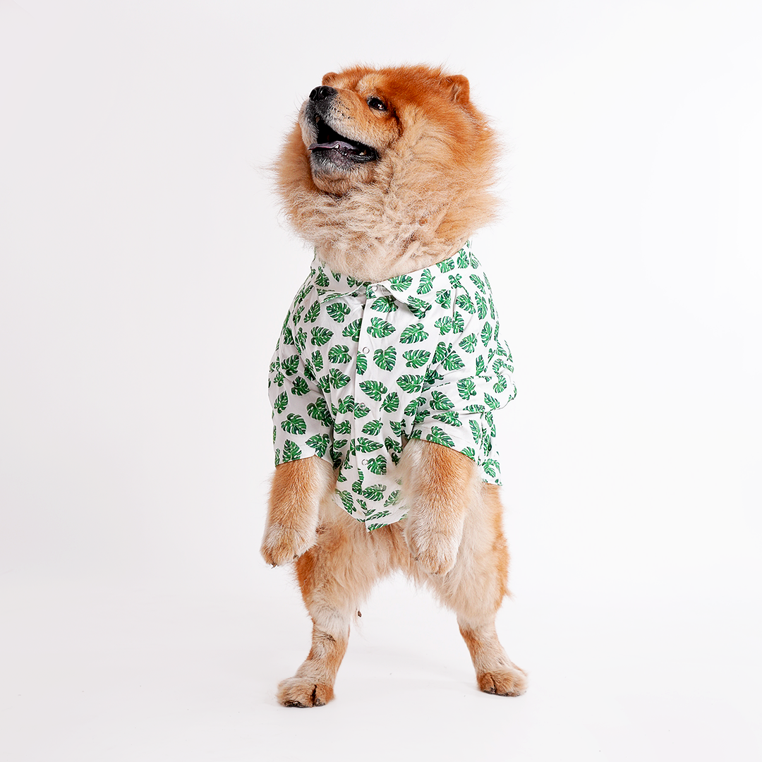 Printed Shirts For Dogs - Havana Palms BBQ
