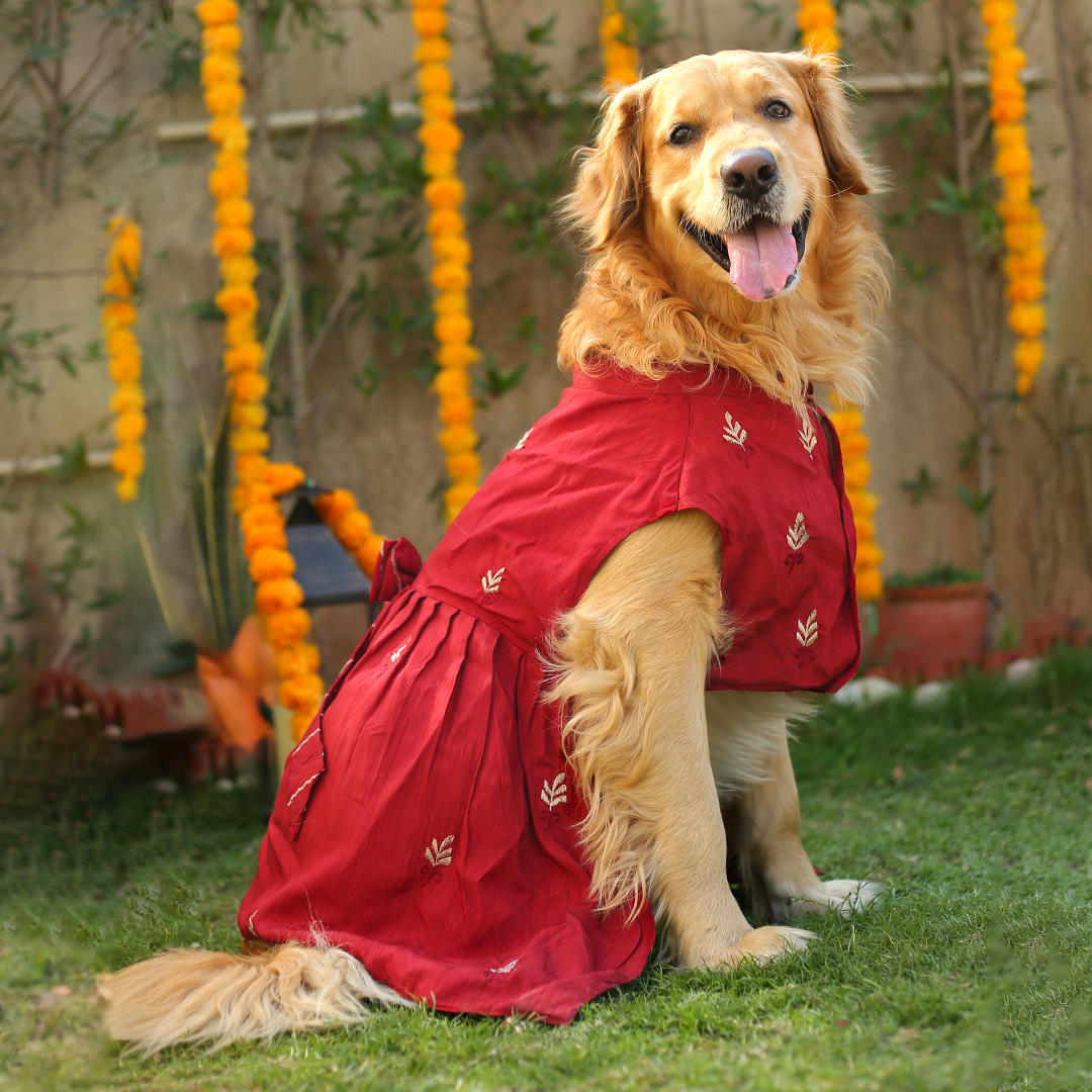 Embroidered Designer Lehenga - Red