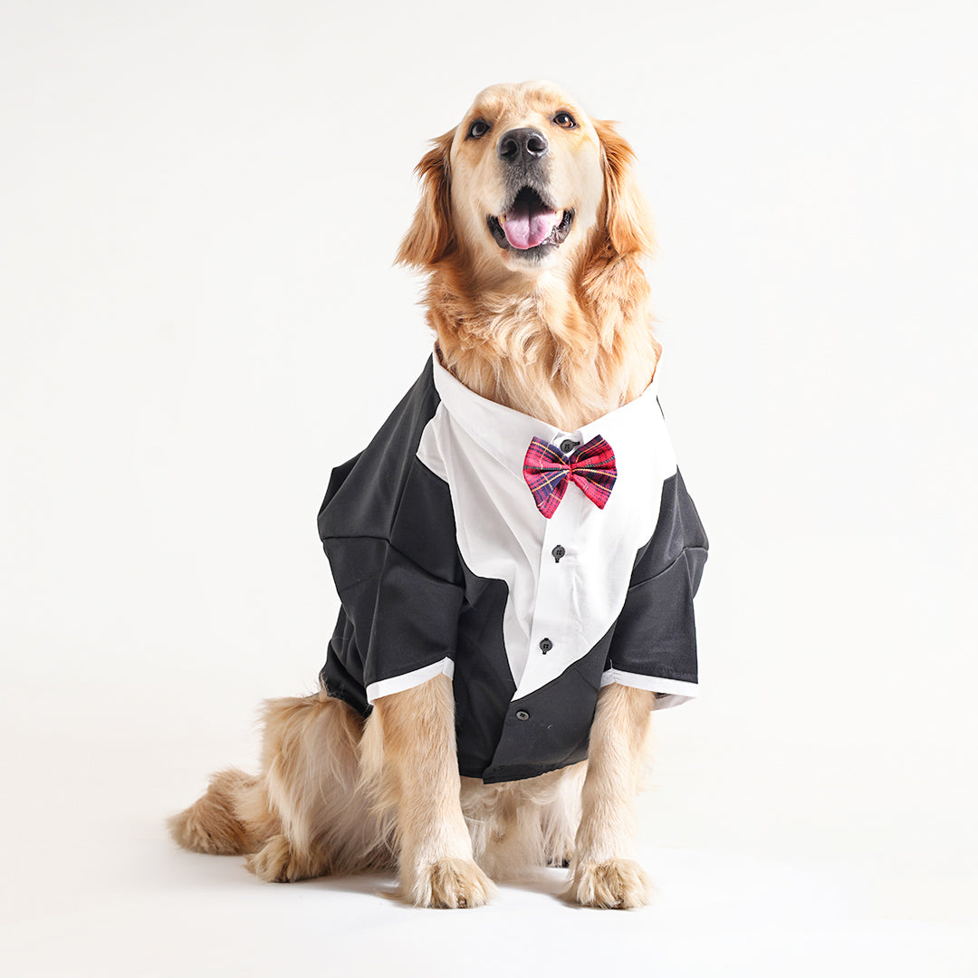 Tuxedos For Dogs - With Red Bow Tie