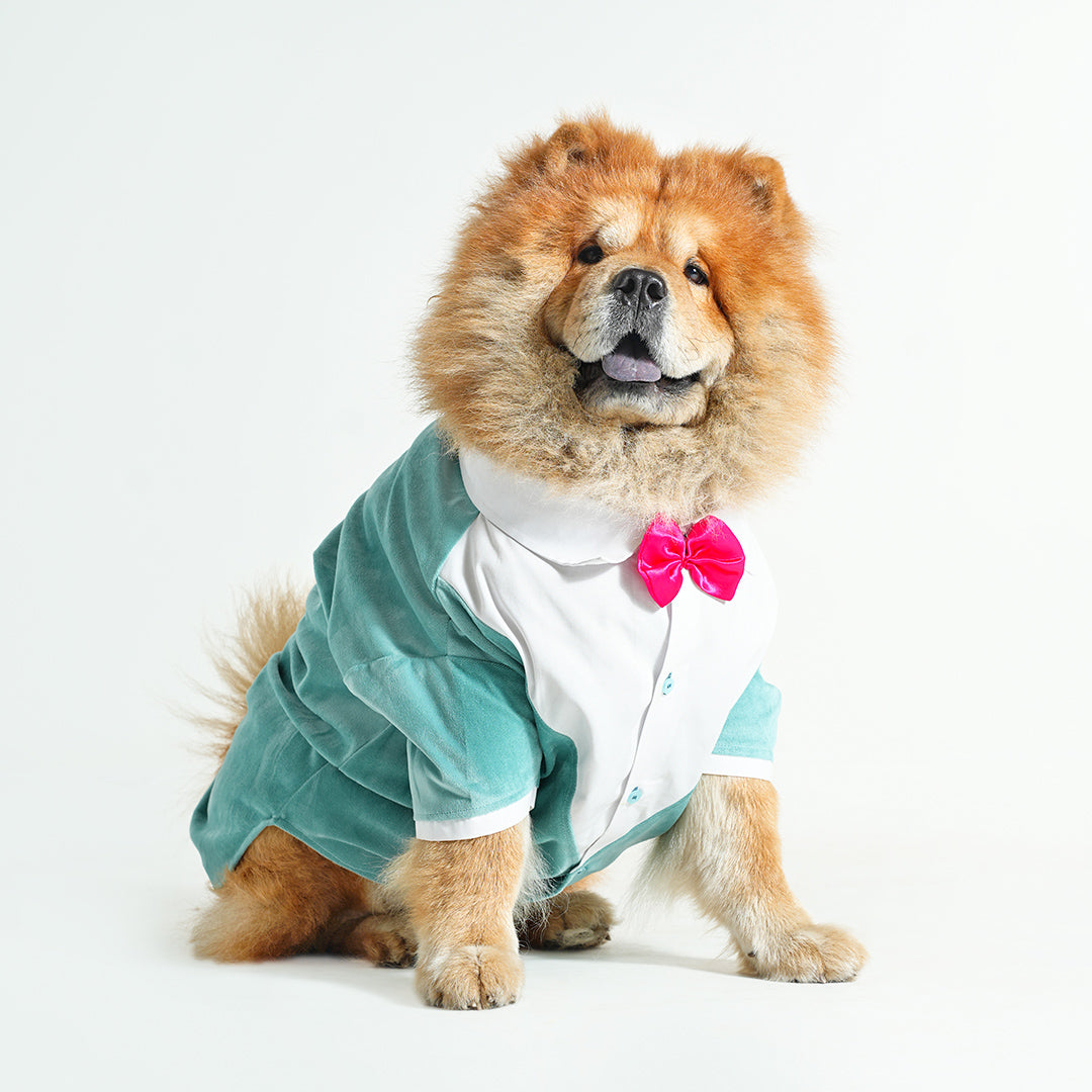 Tuxedo For Dogs With Pink Bow Tie