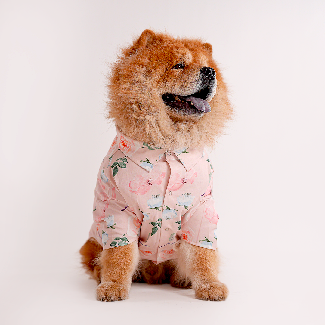 Printed Shirts For Dogs - Baby Pink Floral