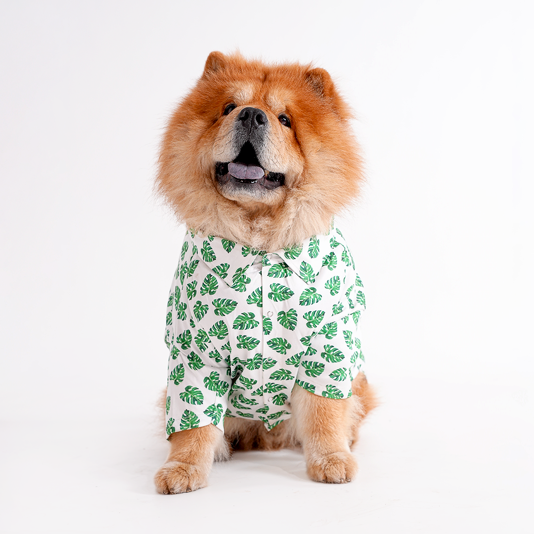 Printed Shirts For Dogs - Havana Palms BBQ