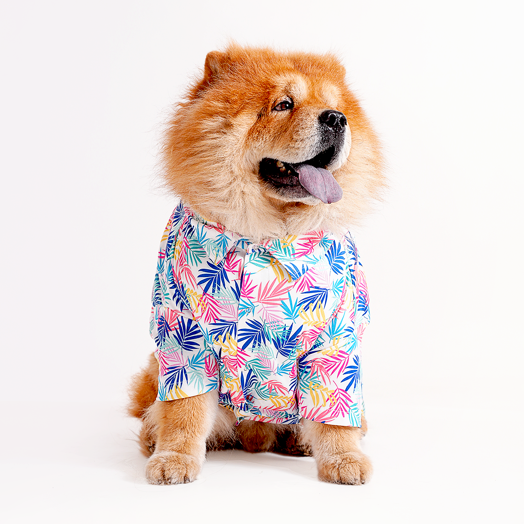Printed Shirts For Dogs - Hawaiian Colourful