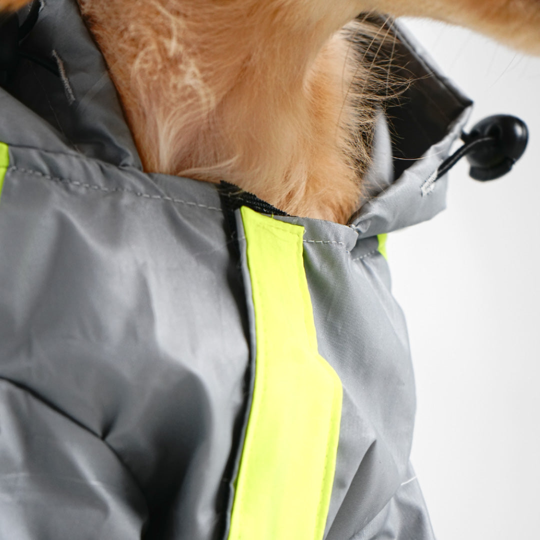 bark and wags raincoat