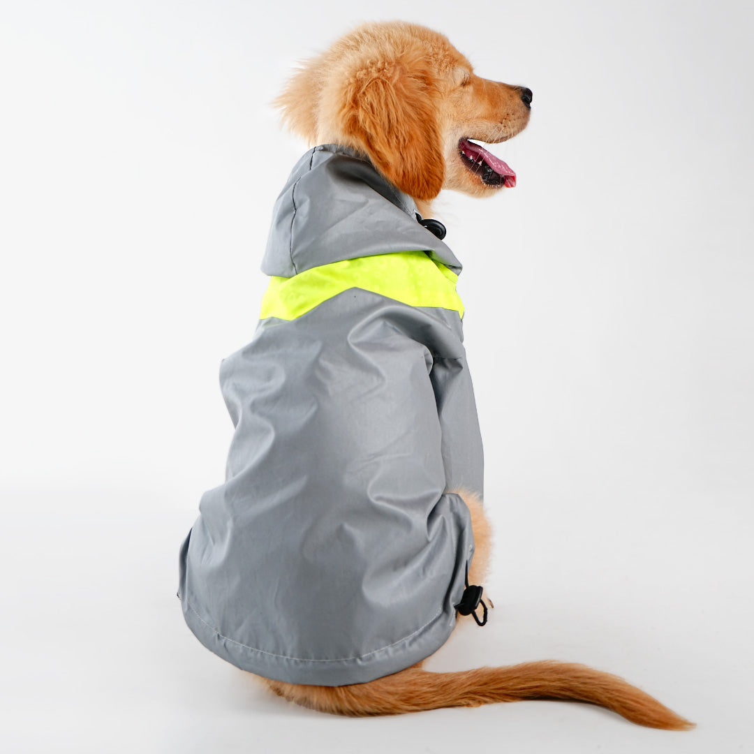 bark and wags raincoat