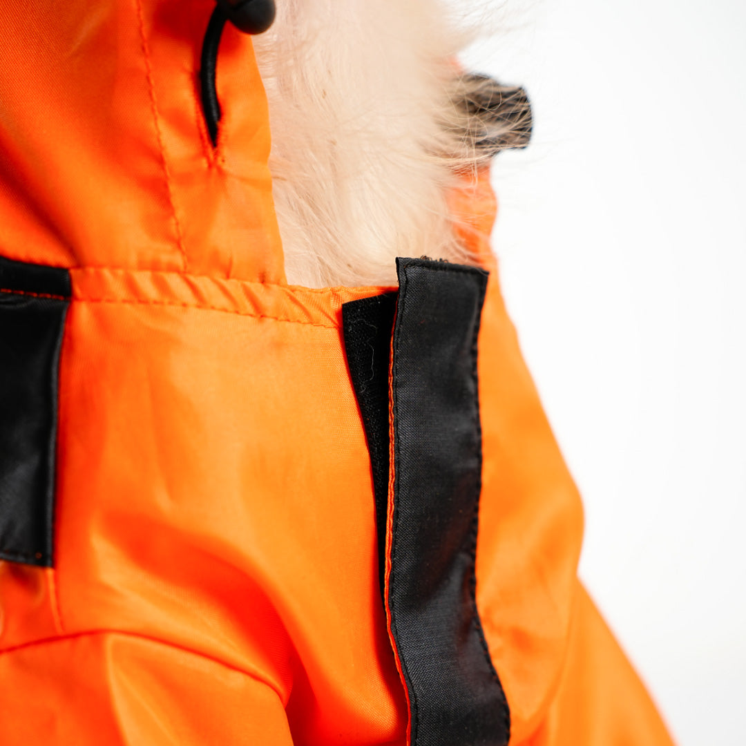 bark and wags raincoat