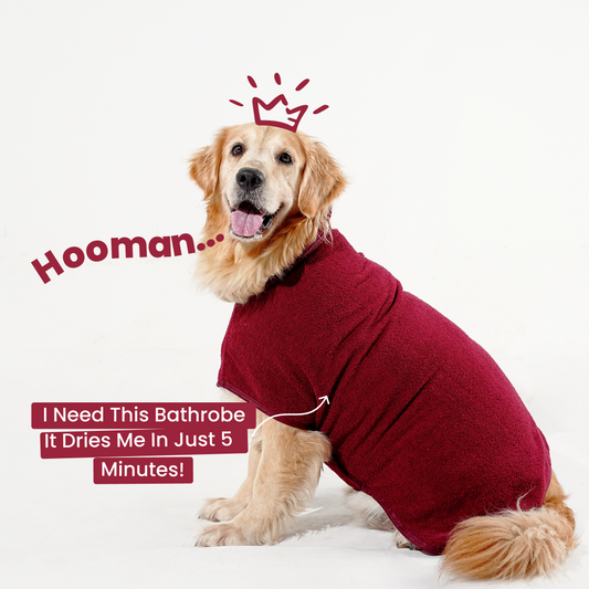India’s 1st Lightweight Turbo Dry Bathrobe - Maroon