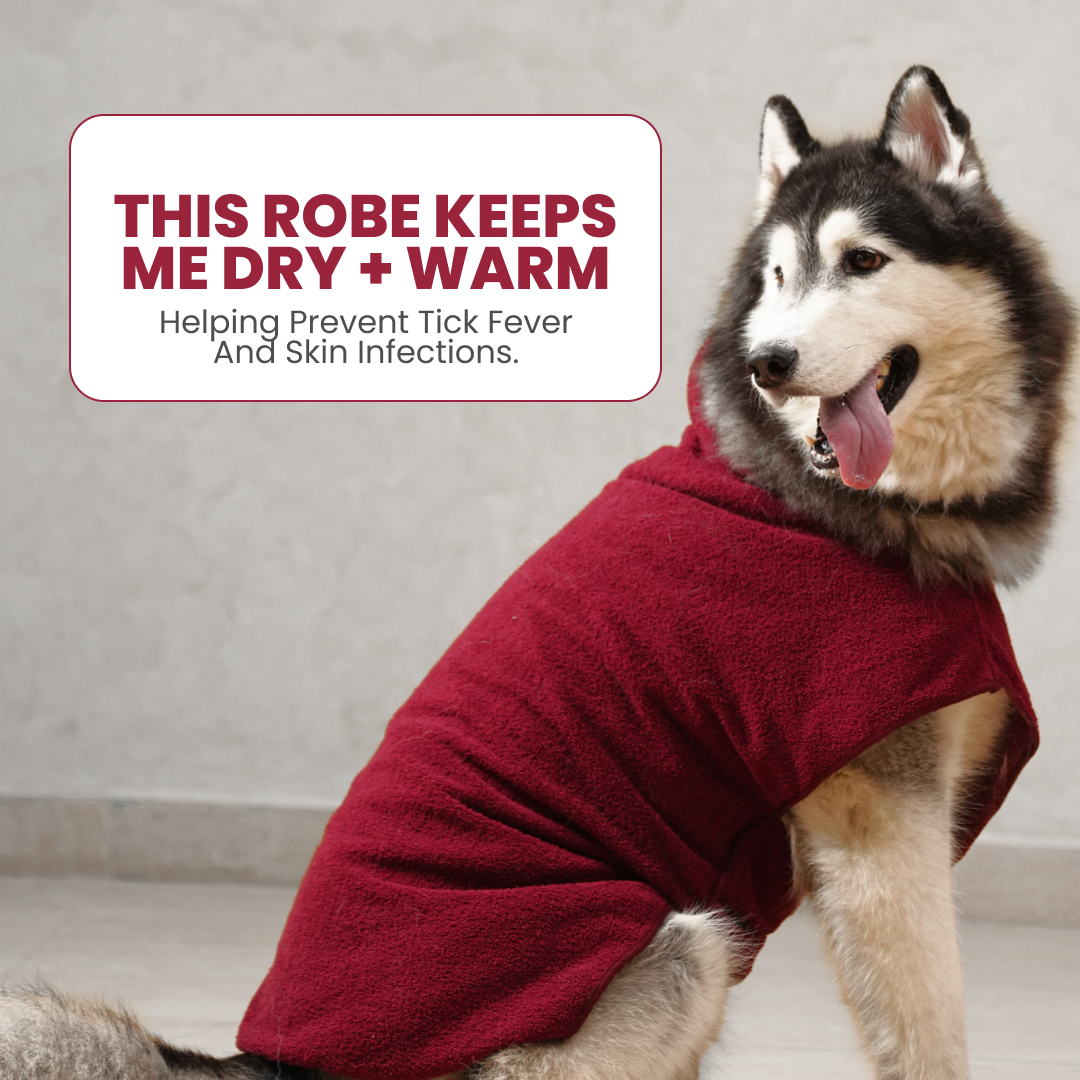 India’s 1st Lightweight Turbo Dry Bathrobe - Maroon