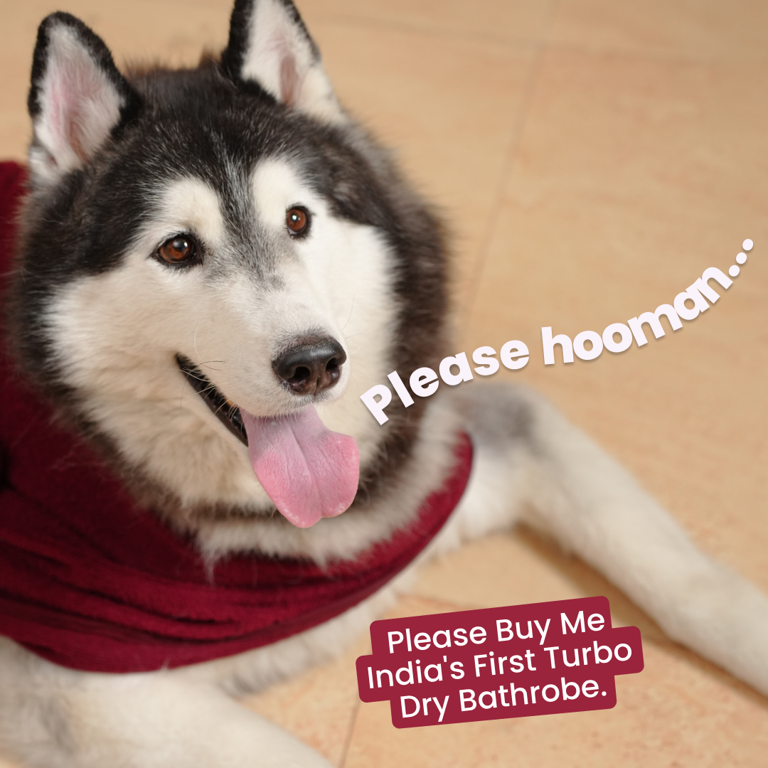 India’s 1st Lightweight Turbo Dry Bathrobe - Maroon