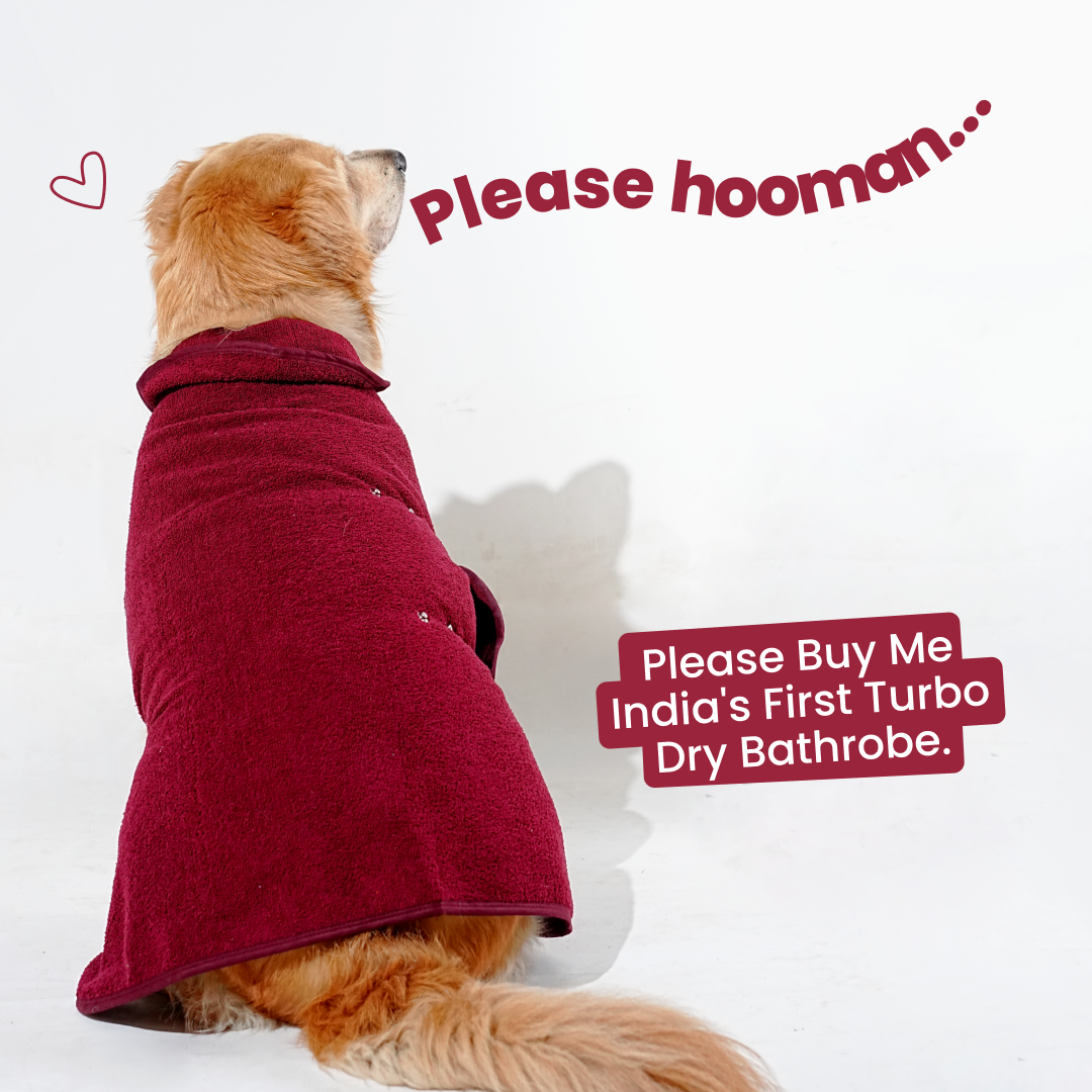 India’s 1st Lightweight Turbo Dry Bathrobe - Maroon