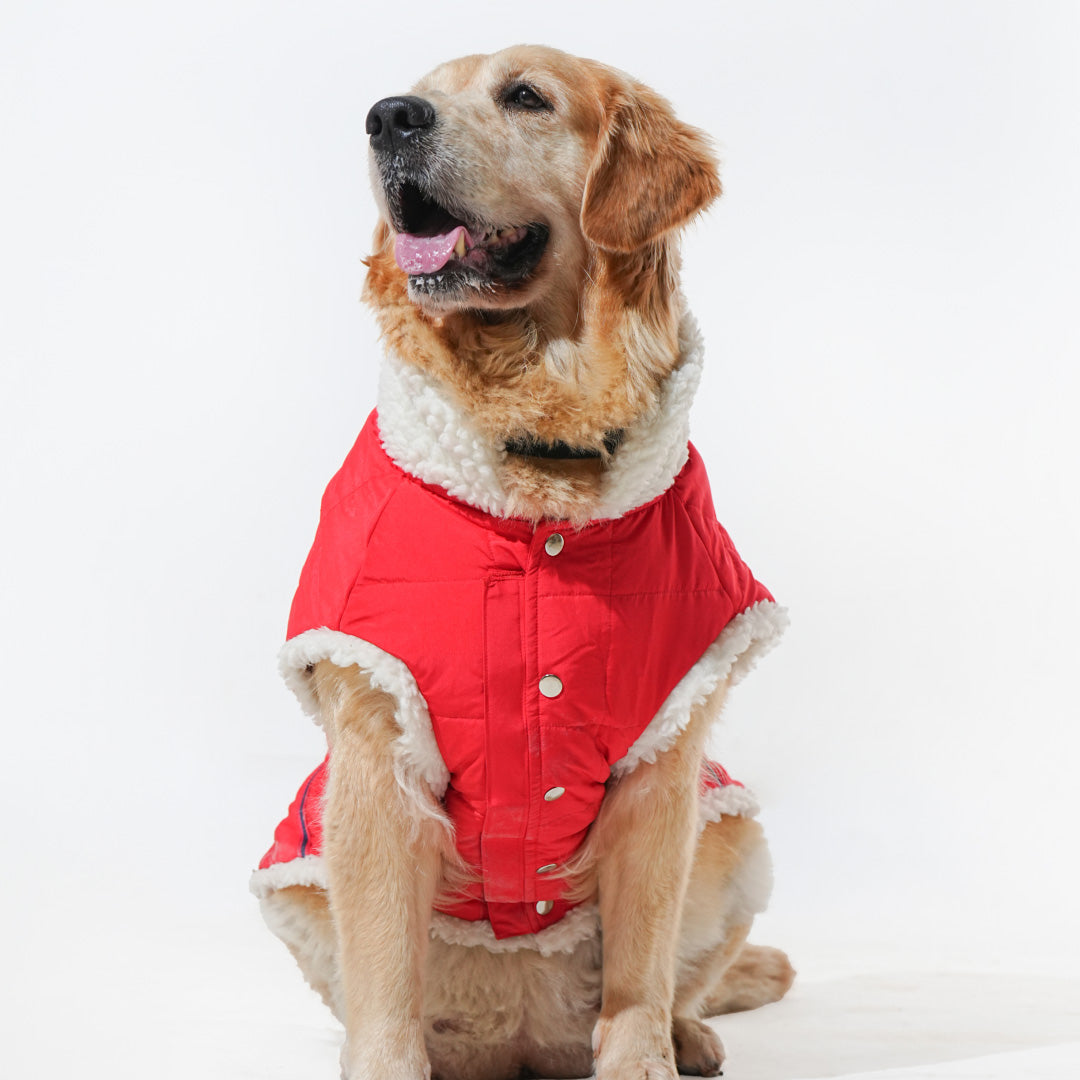 Pawfect Shield Puffer Jacket - Furry White-Red