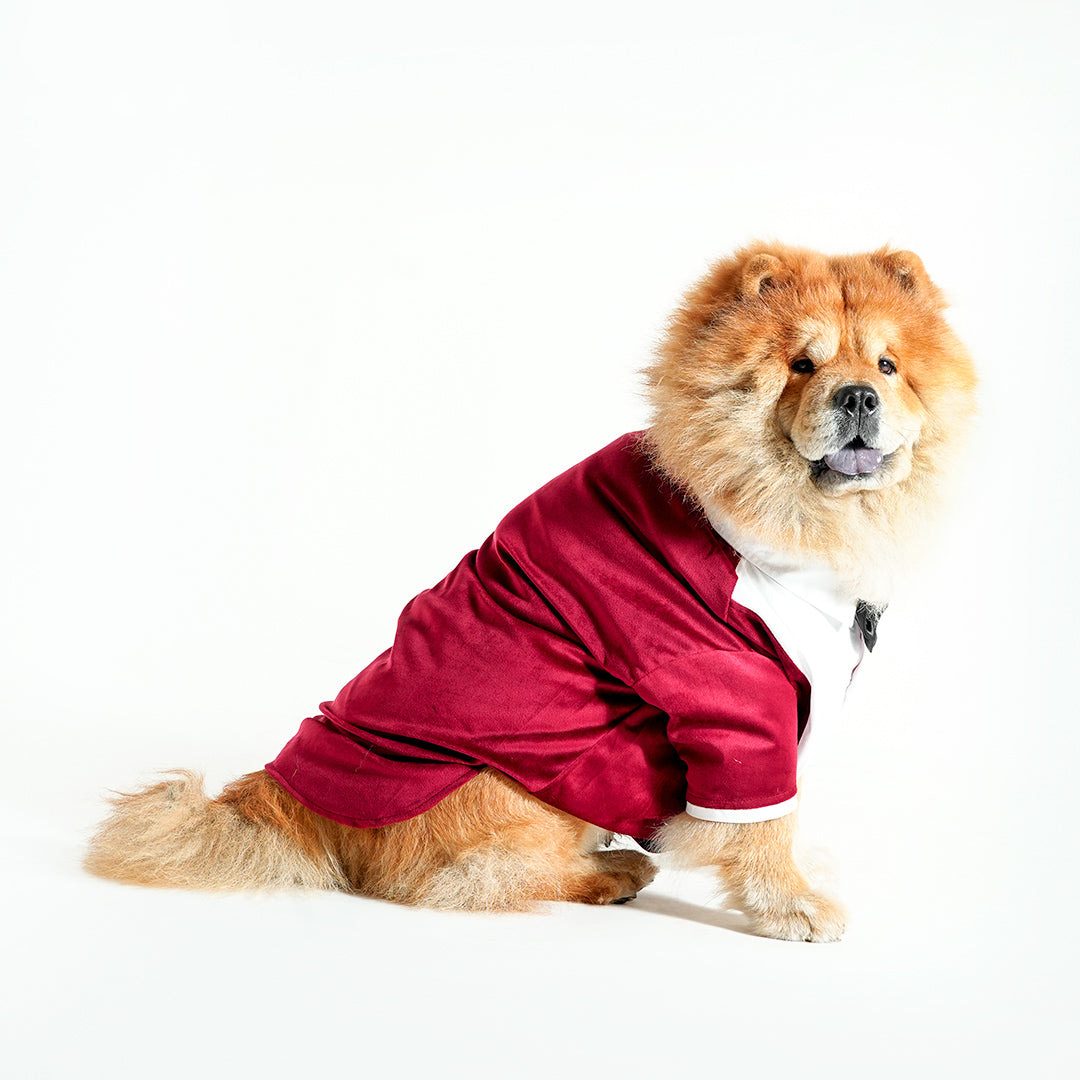 Tuxedo For Dogs With Black Bow Tie