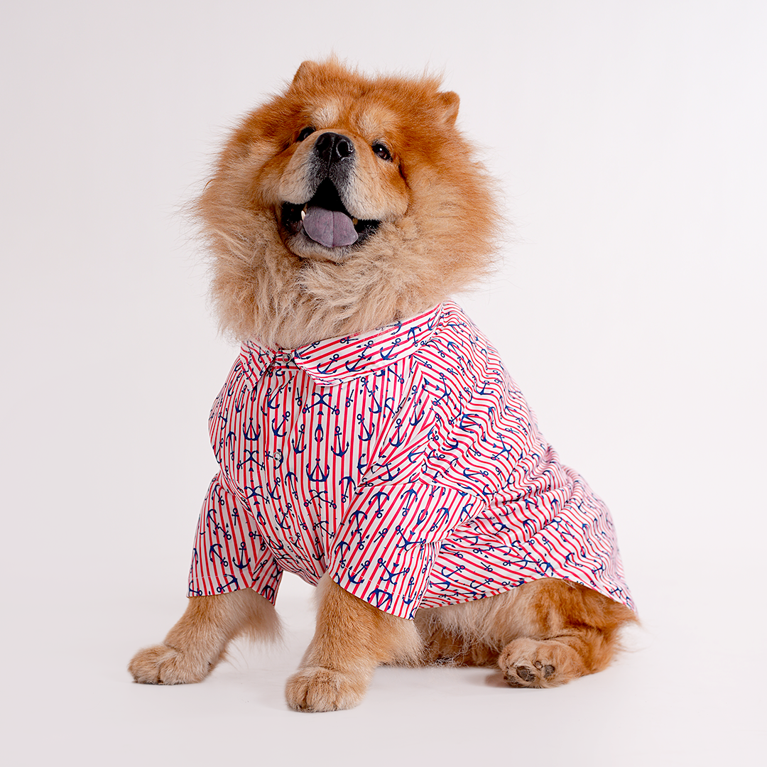 Printed Shirts For Dogs - Maritime Nautical