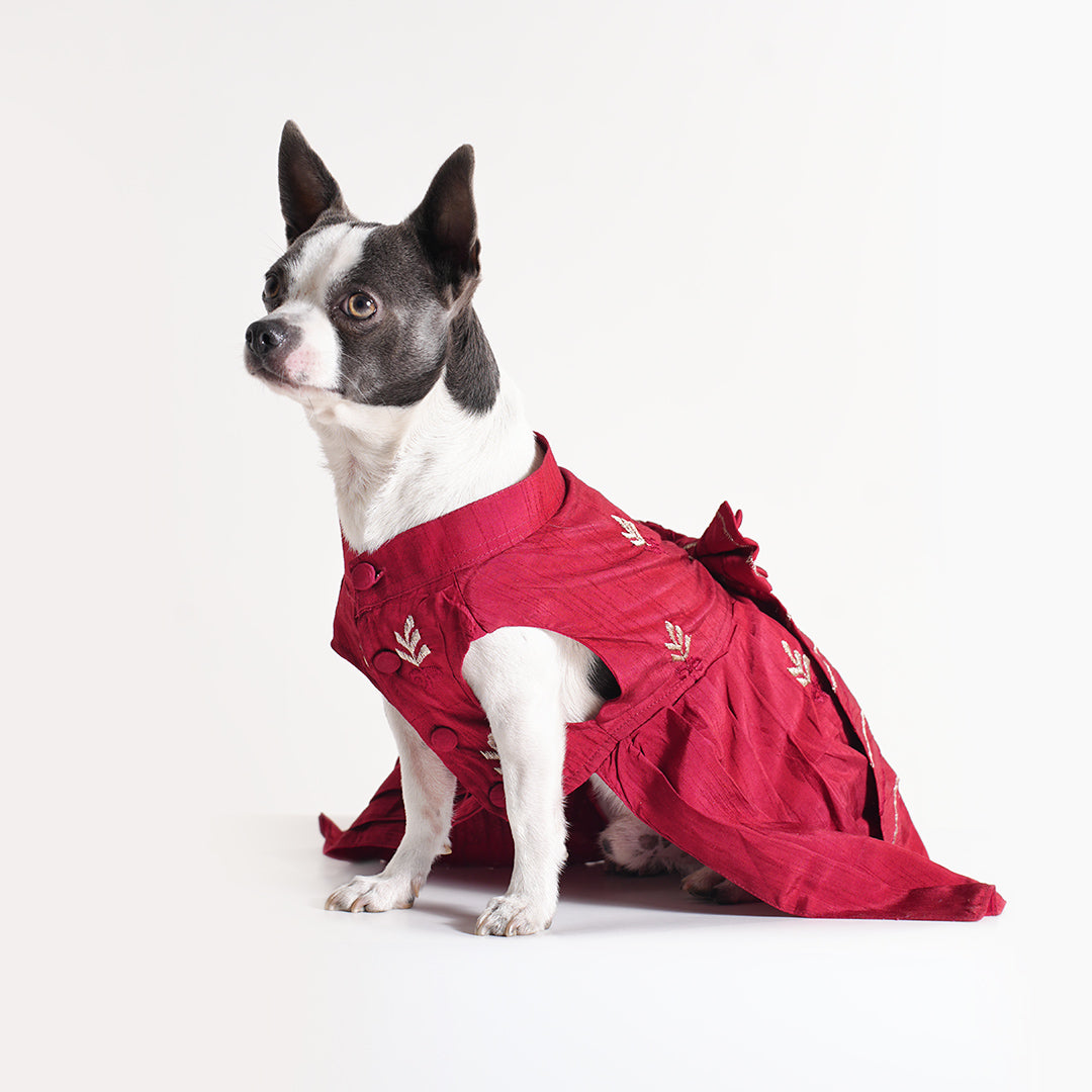 Embroidered Designer Lehenga - Red