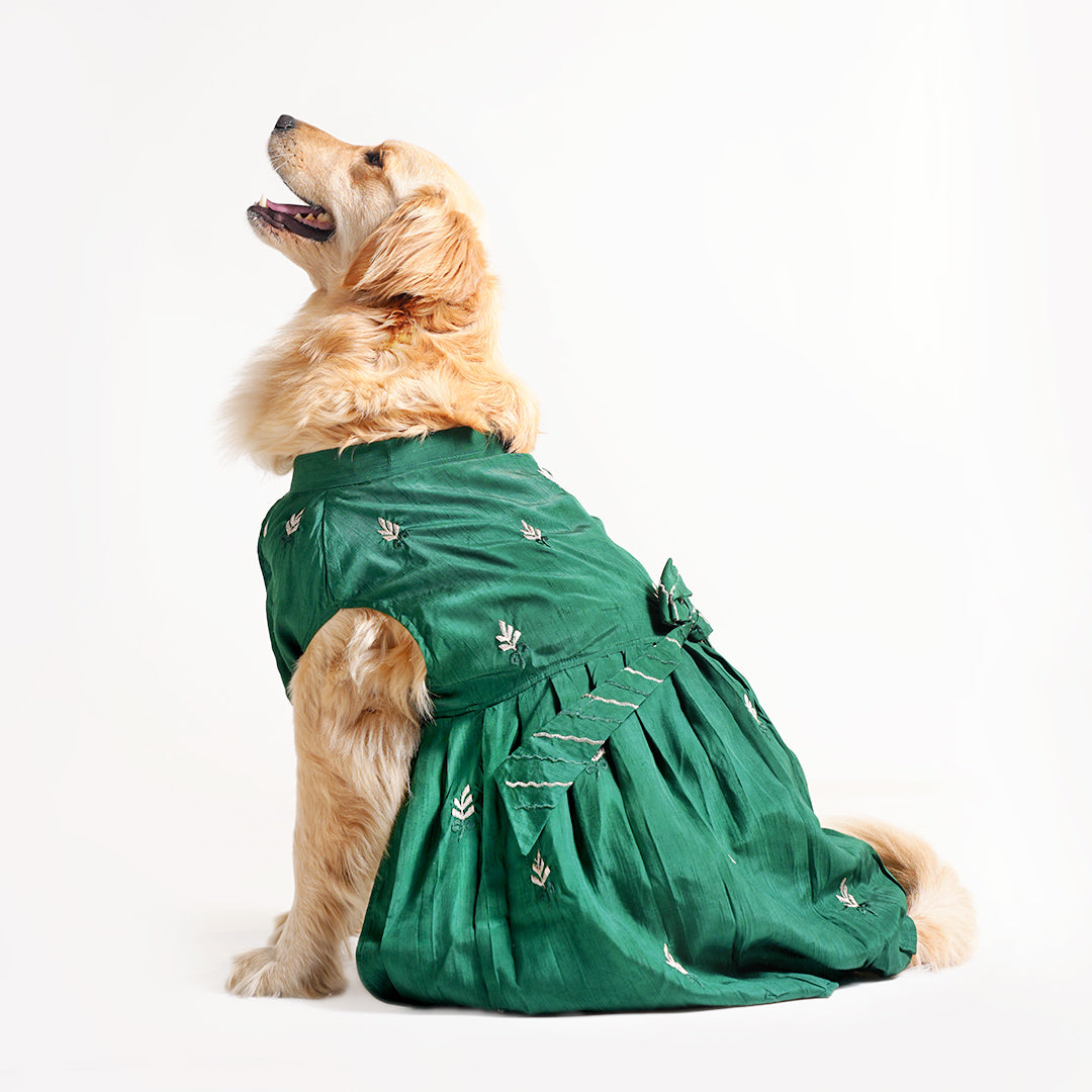 Embroidered Designer Lehenga - Green