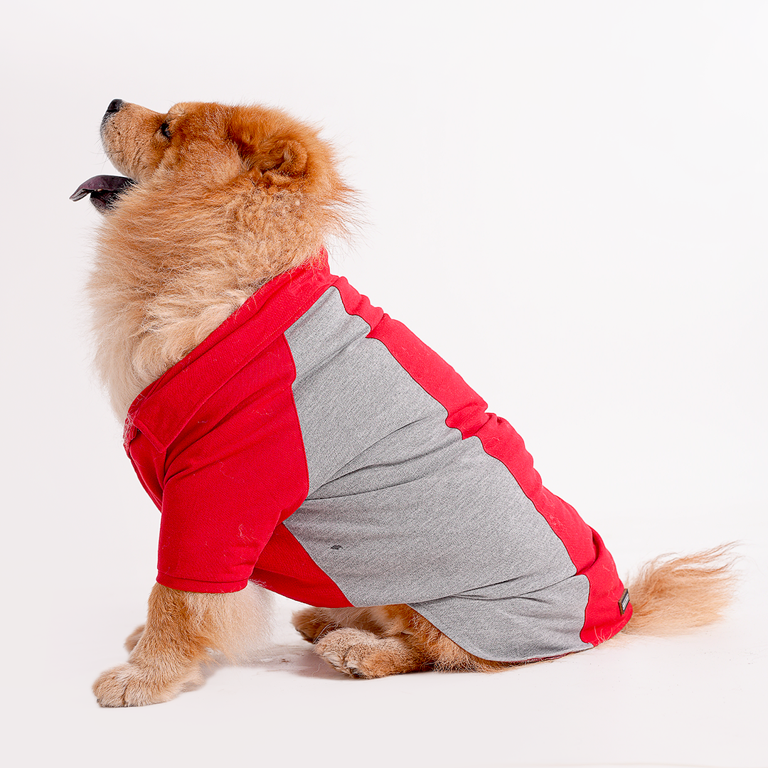 Polo Dog Tshirt (Red & Grey)