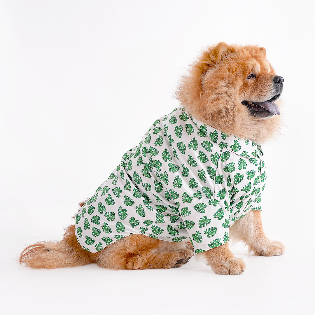Printed Shirts For Dogs - Havana Palms BBQ