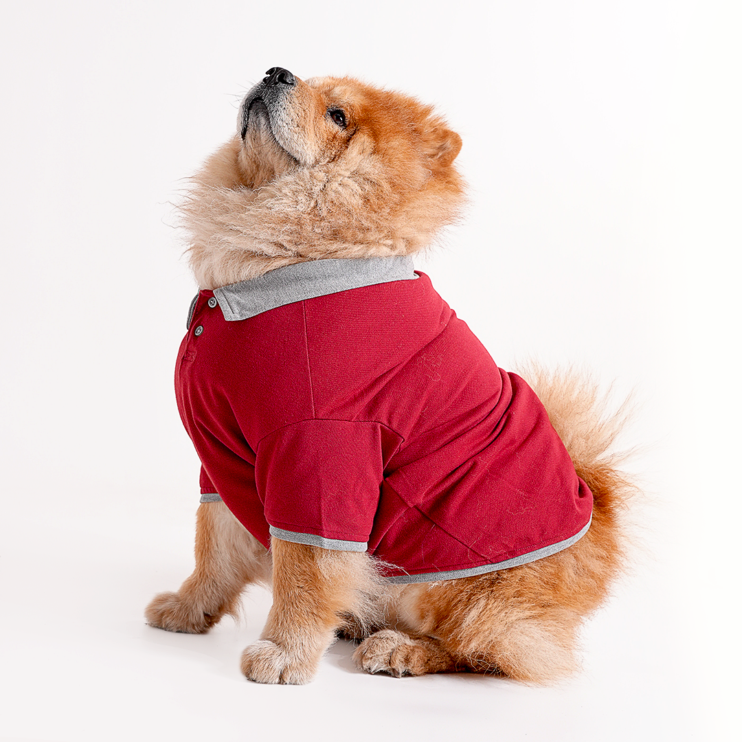Polo Dog Tshirt (Maroon & Grey)
