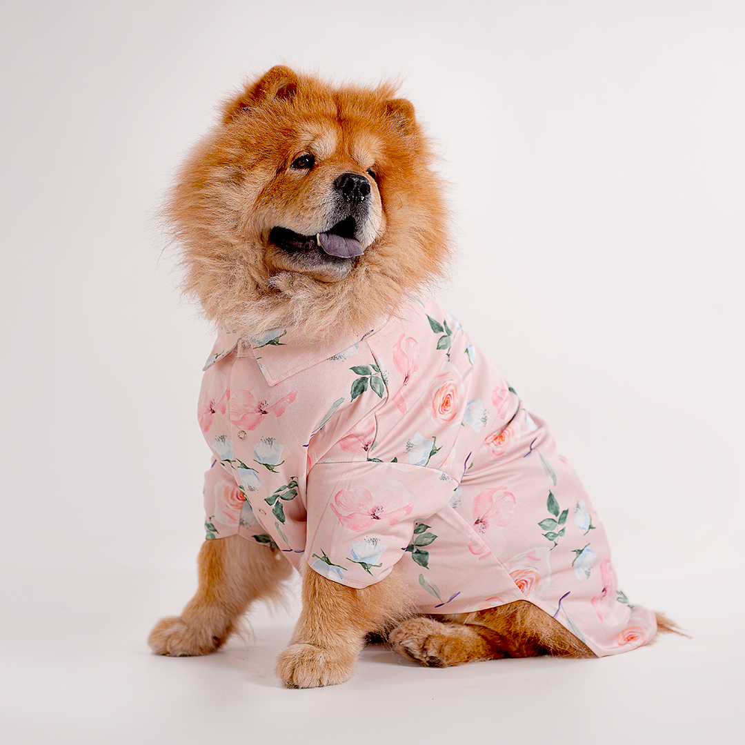 Printed Shirts For Dogs - Baby Pink Floral