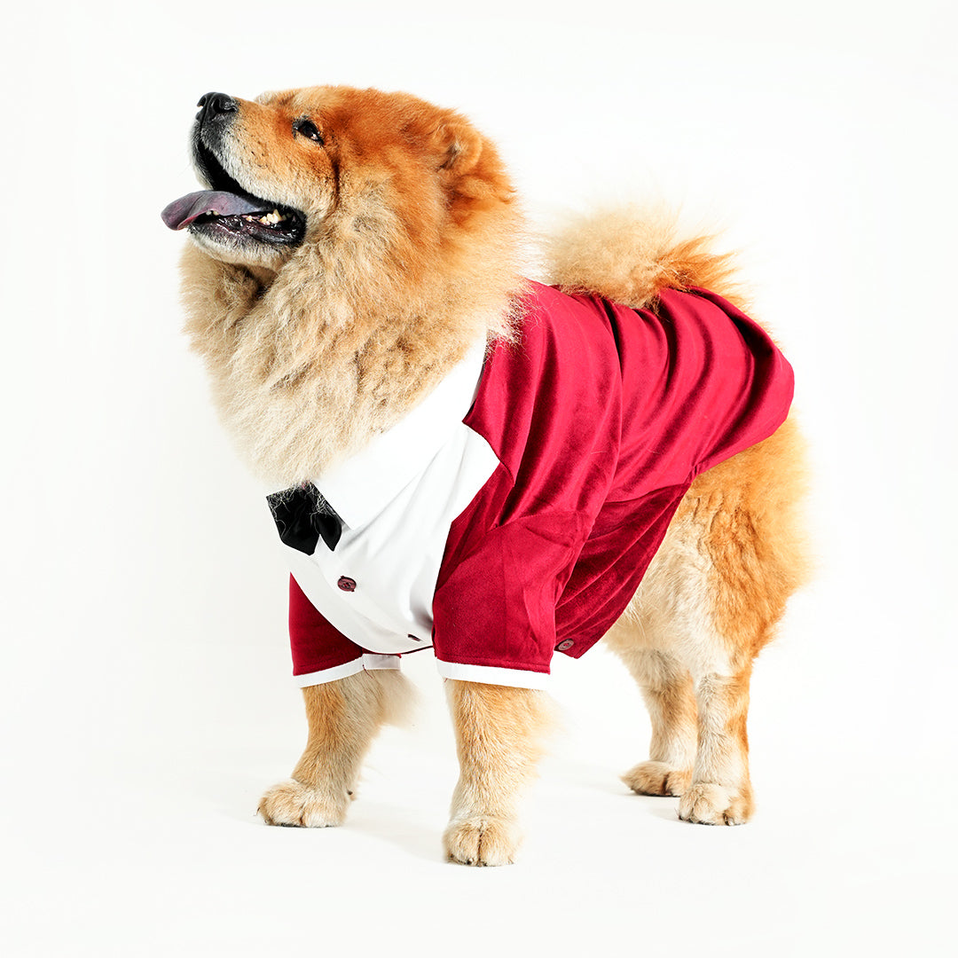 Tuxedo For Dogs With Black Bow Tie
