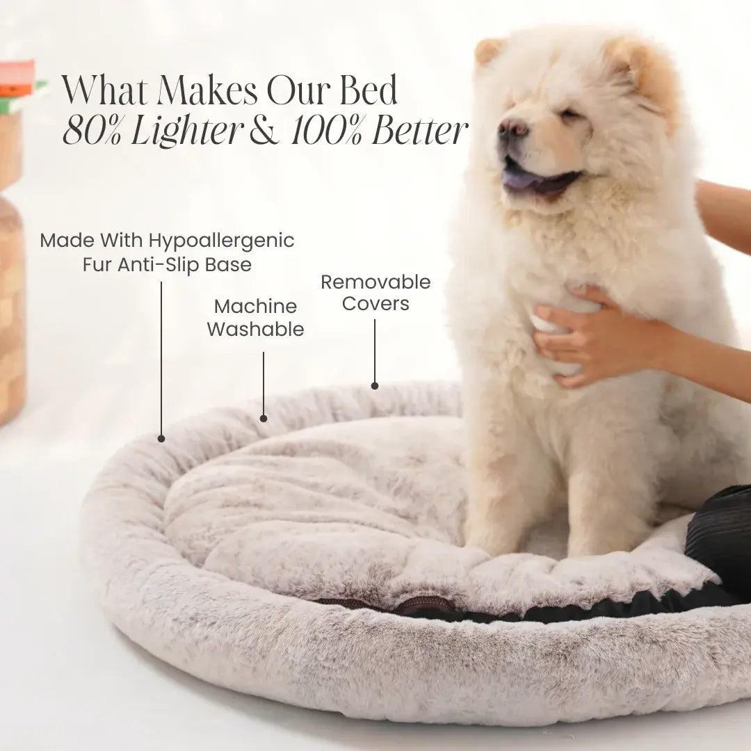 2-in-1 Temperature-Regulating Dog Bed - Desert Dune