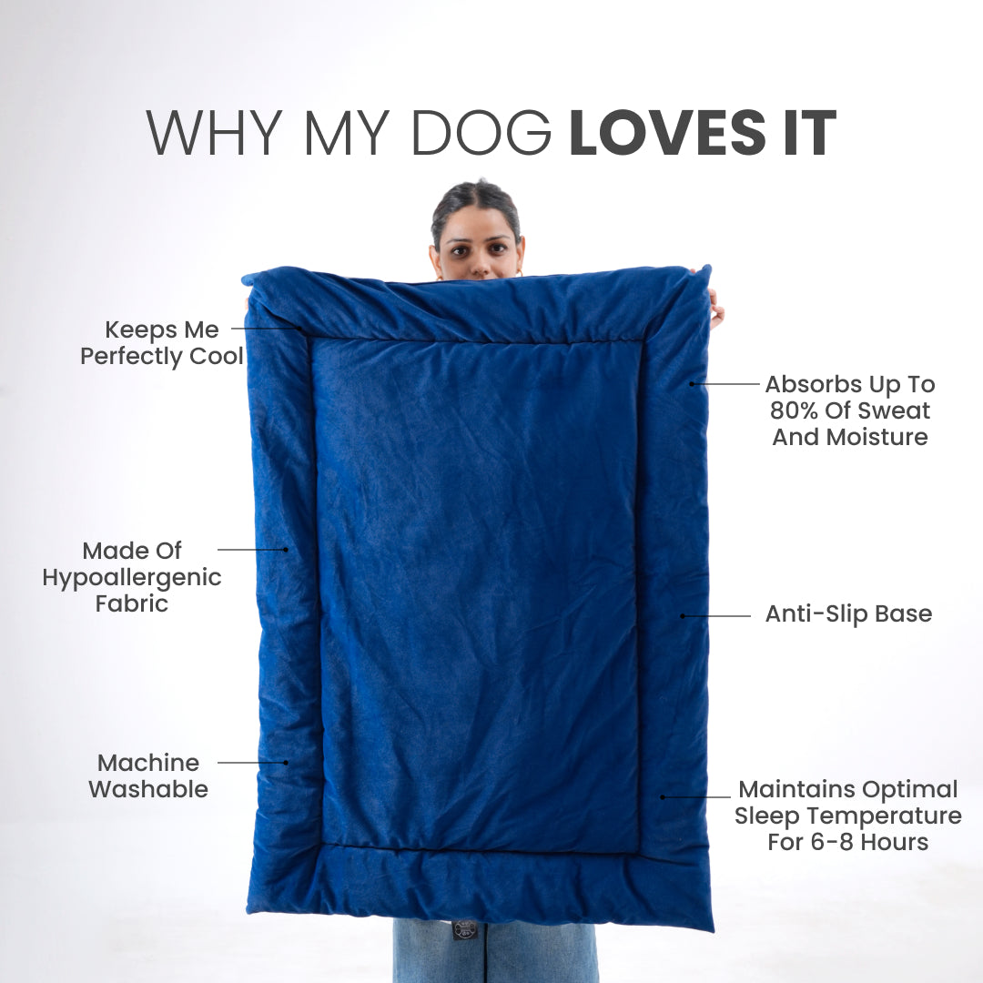 ThermaFlow SummerBed - Royal Blue
