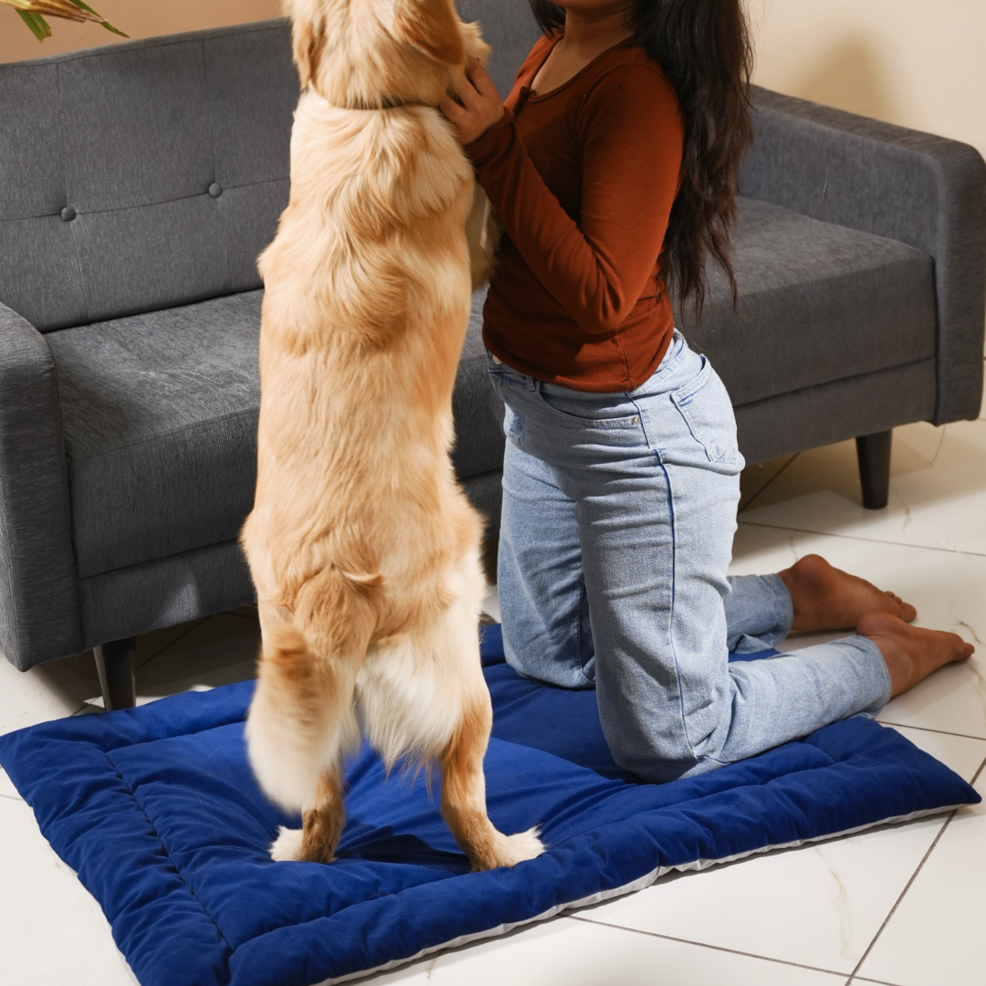 ThermaFlow SummerBed - Royal Blue