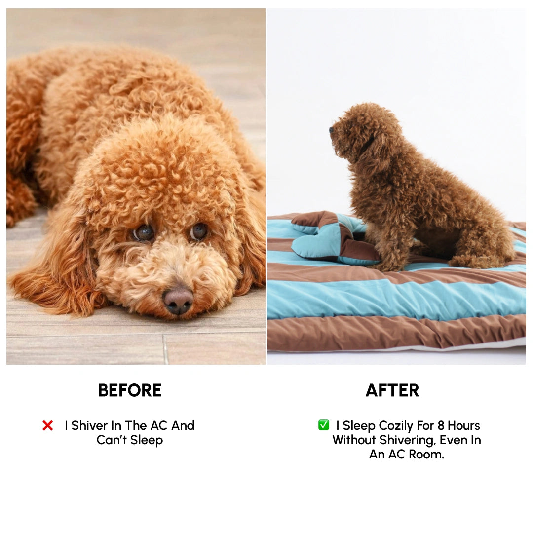 ColorTail Nap Bed - Choco Splash