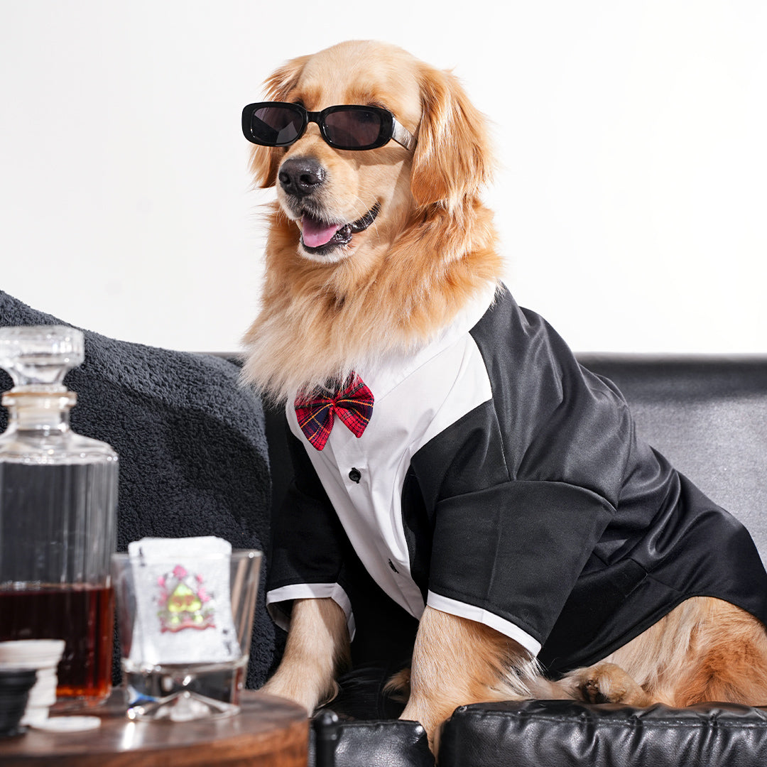 Tuxedos For Dogs - With Red Bow Tie