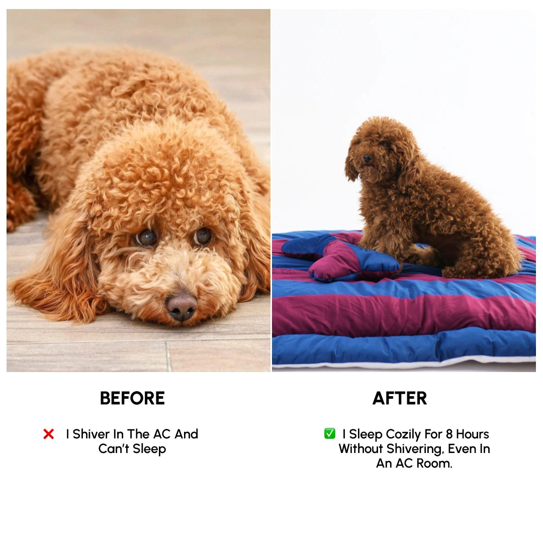 ColorTail Nap Bed - Berry Pawfect