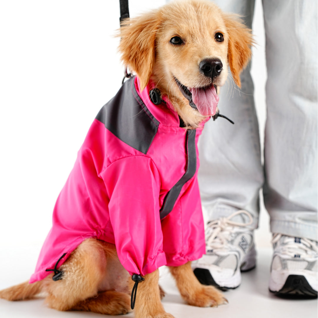 bark and wags raincoat