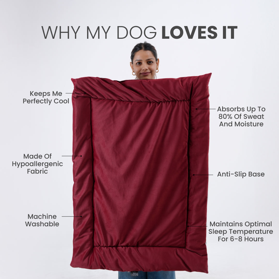 All Season Nap Bed - Burnt Maroon