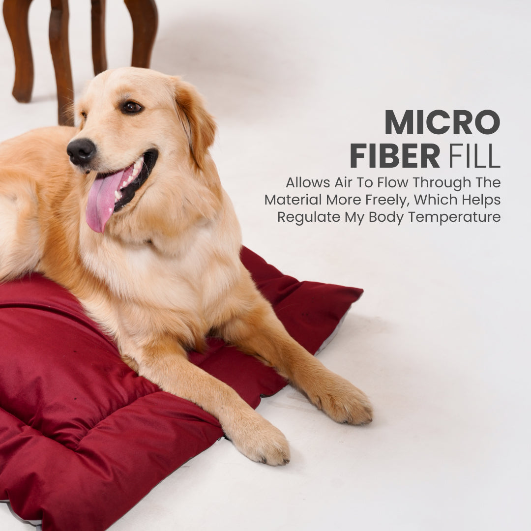 All Season Nap Bed - Burnt Maroon