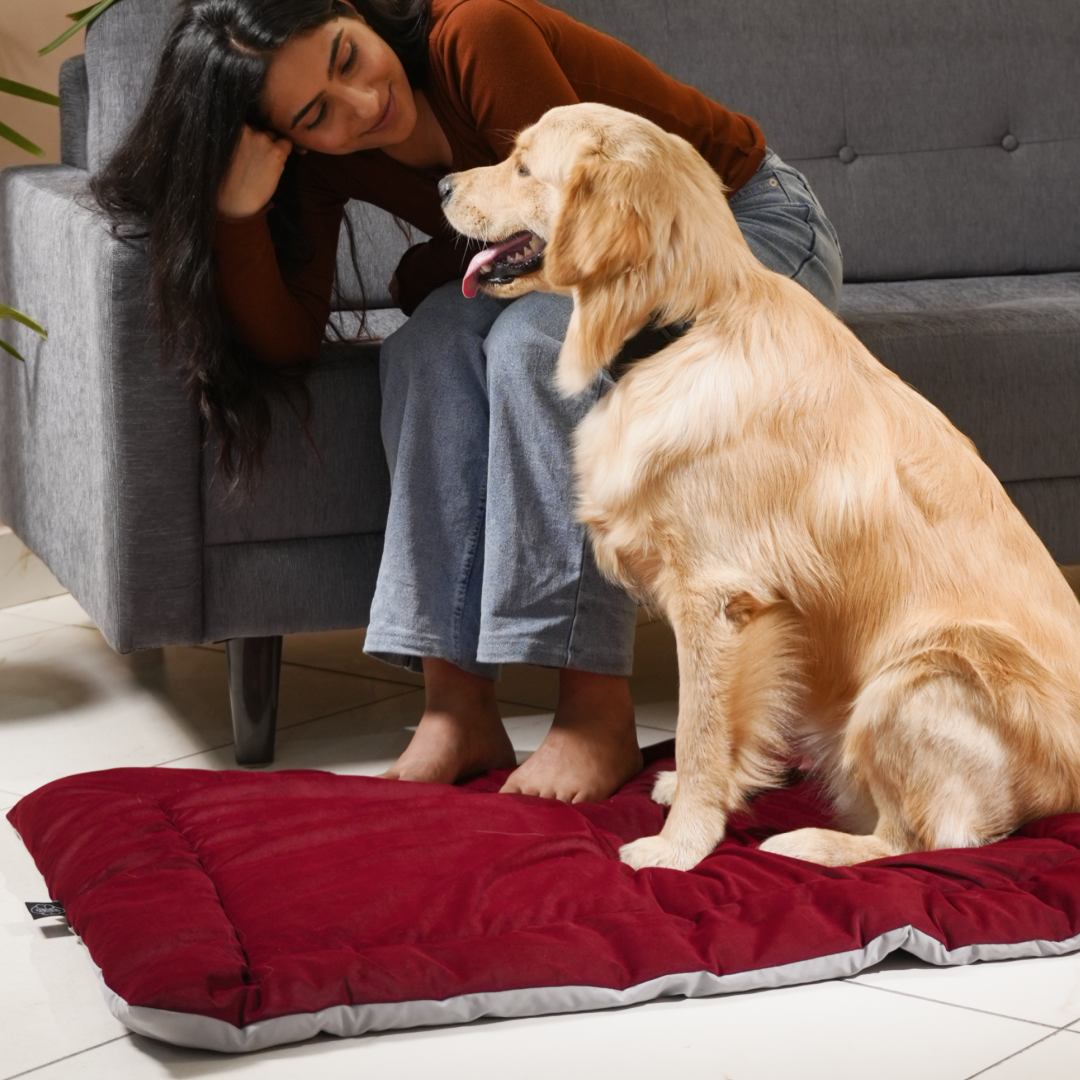 All Season Nap Bed - Burnt Maroon