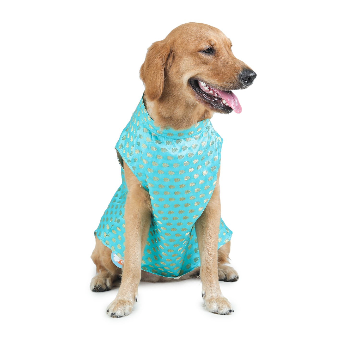 Dog Sherwani - BLUE