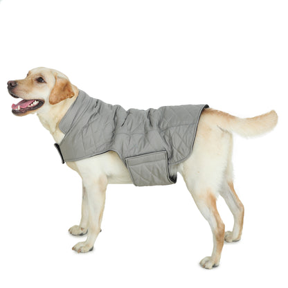 Dog Jacket (Grey Micro Padded)