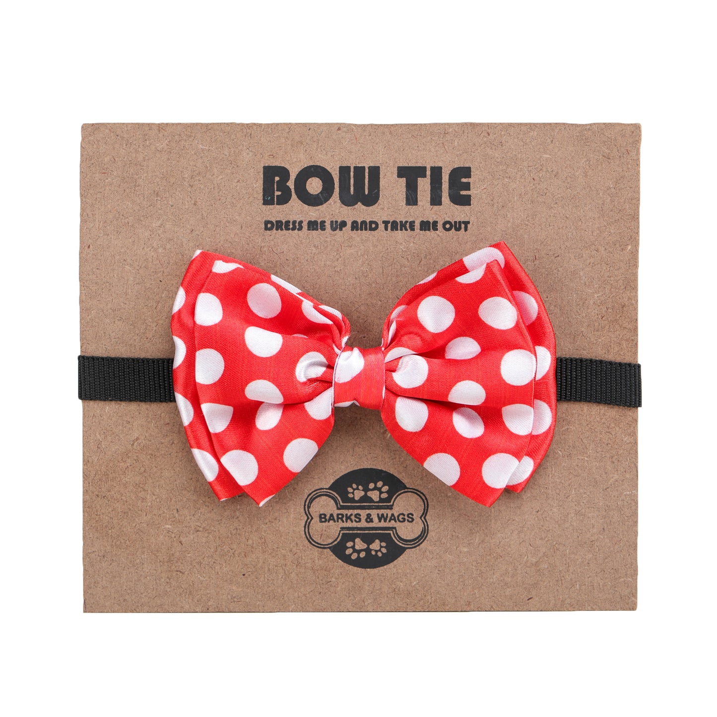 Red Polka Dot Twinning Bow & Bandana Set