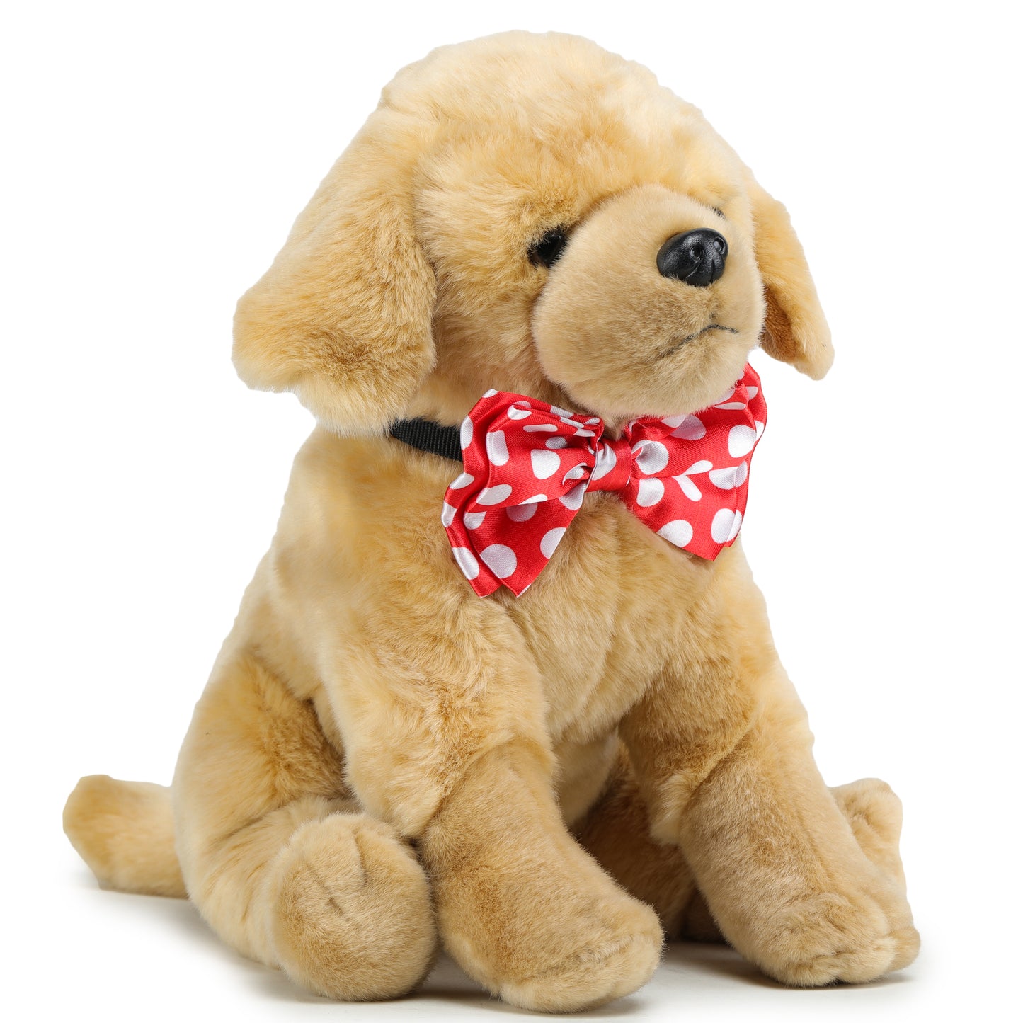 Red Polka Dot Twinning Bow & Bandana Set