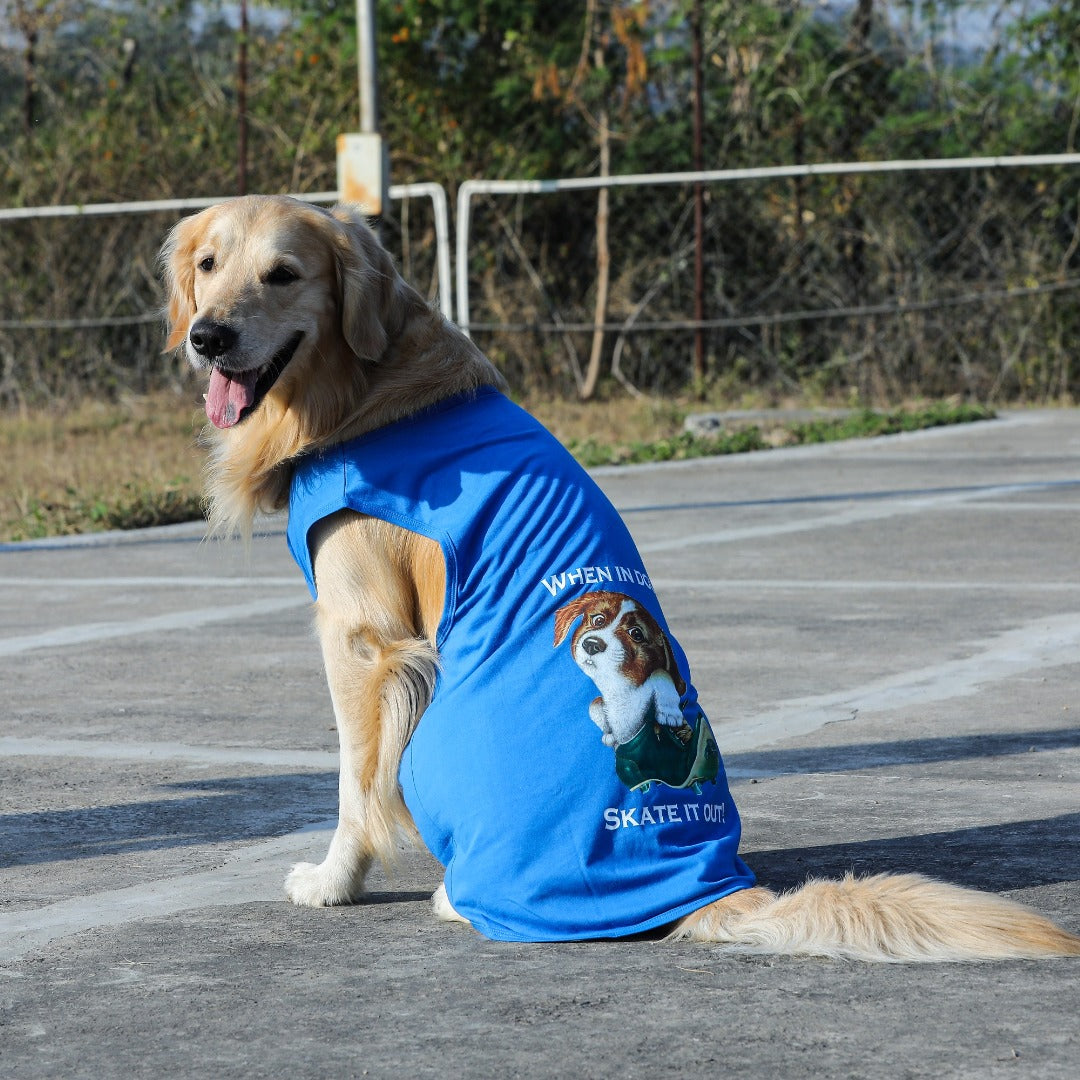 Blue store dog shirt