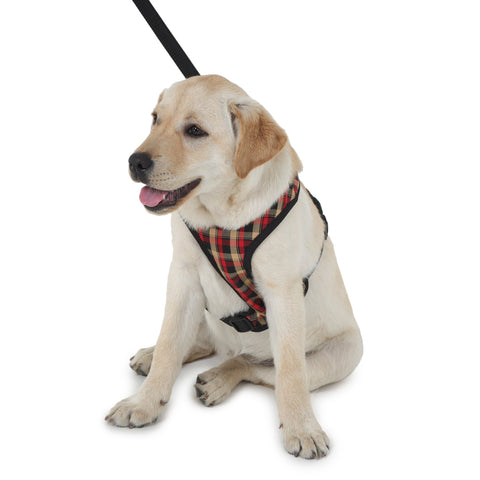 Harness And Leash For Dogs - Red Plaid