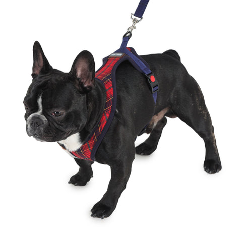 Harness And Leash For Dogs - Thermapet Plaid