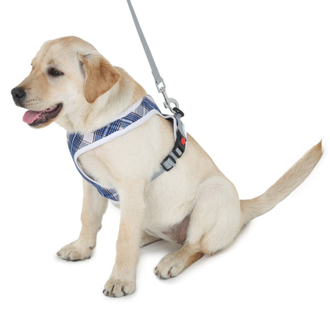 Harness And Leash For Dogs - Blue Plaid