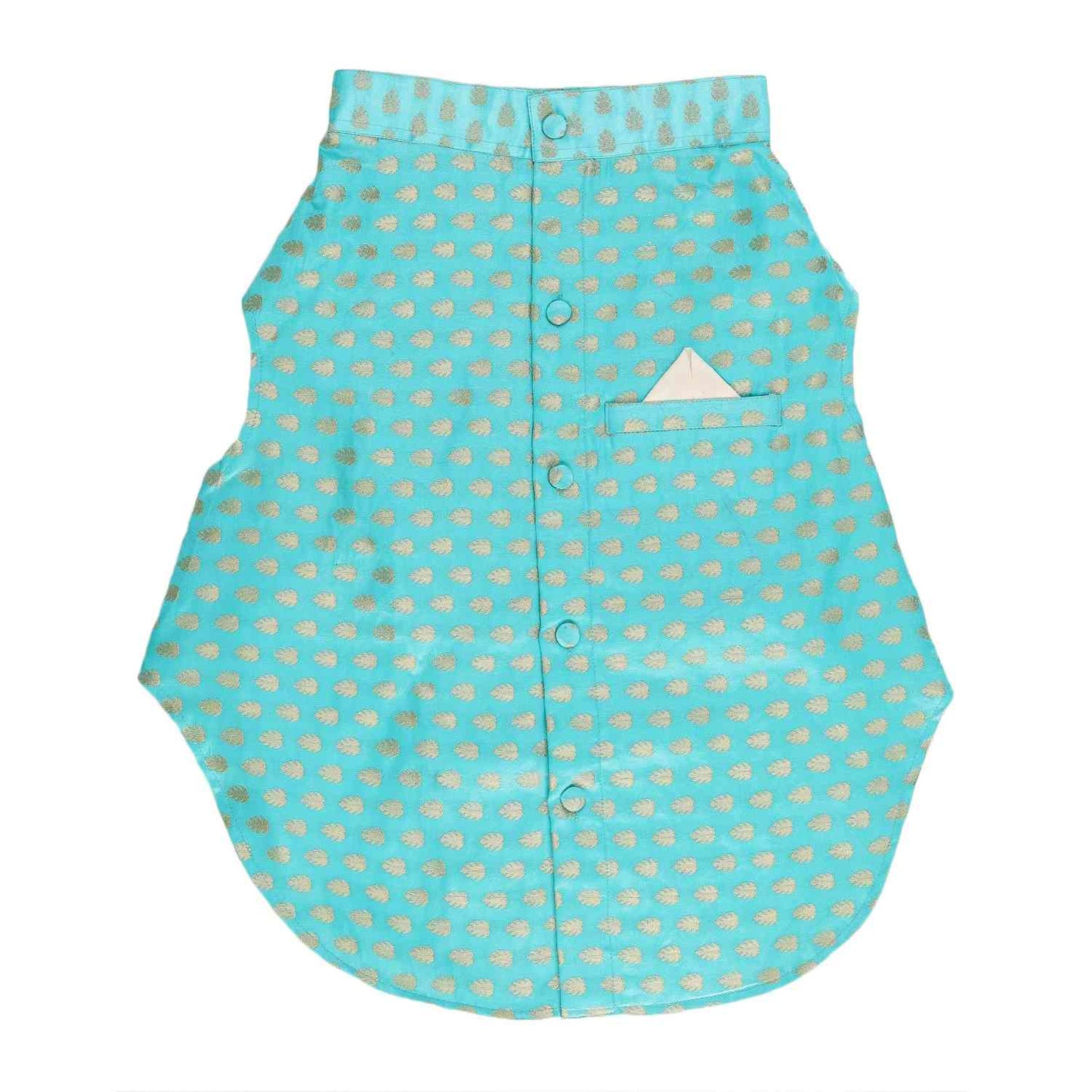 Dog Sherwani - BLUE