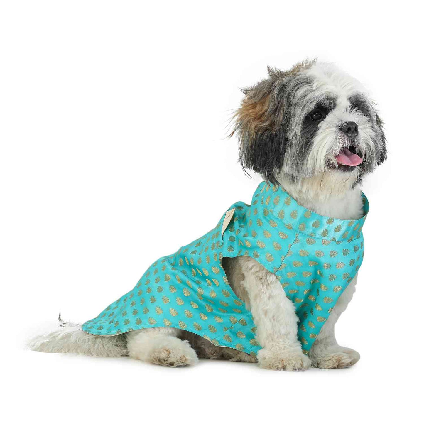 Dog Sherwani - BLUE