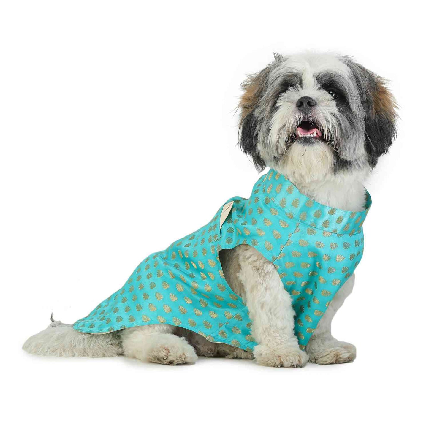 Dog Sherwani - BLUE