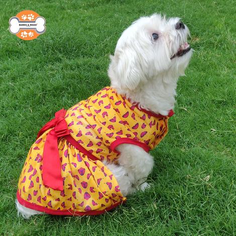 Dresses For Dogs - Butterfly Print