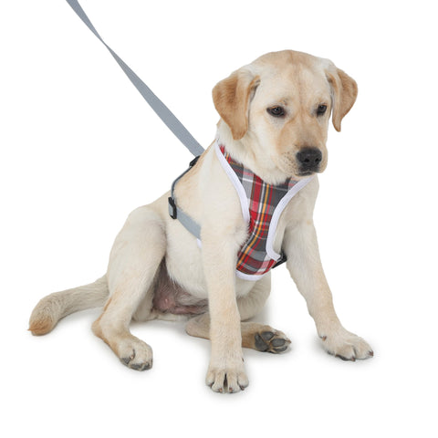 Harness For Dogs - Denim Check Plaid